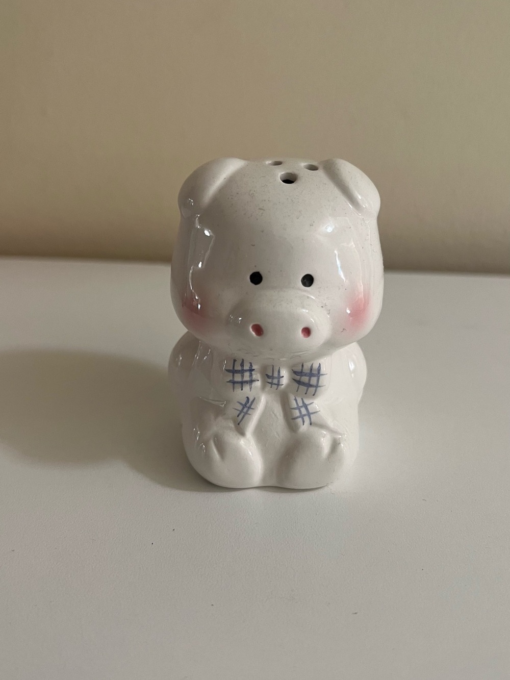 Ceramic Pig Salt Shaker